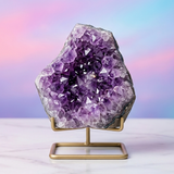 Crystal Universal Link-Jayden&Emily